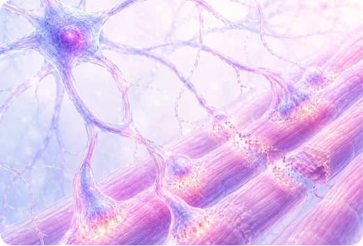 Neuromuscular Disorders