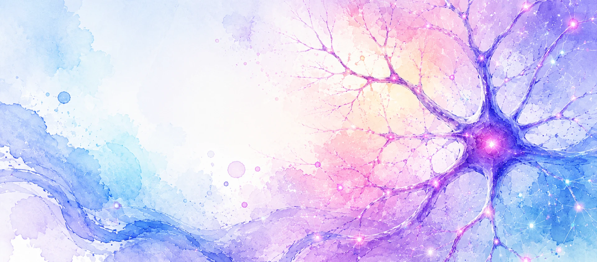 About page banner